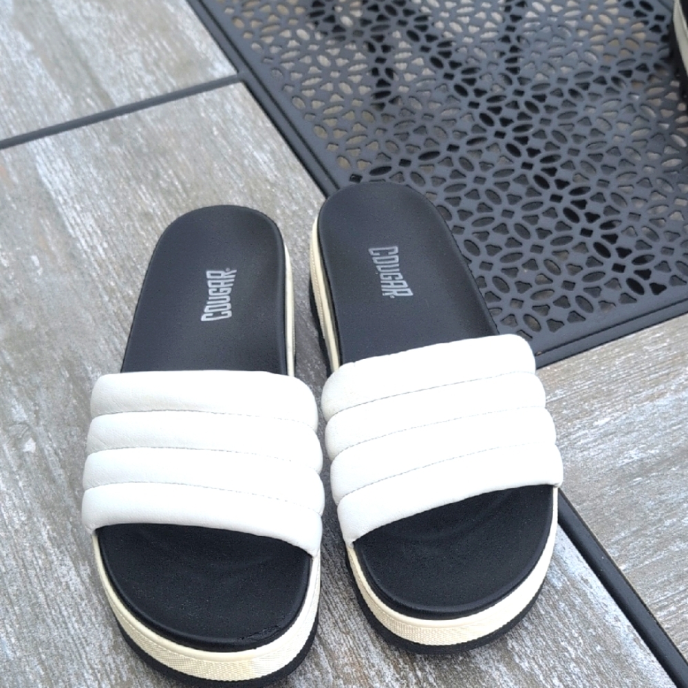 Cougar Slides